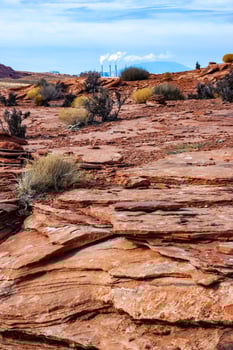 Drought-tolerant plants growing in the red desert sand near Glen Canyon, Arizona photo