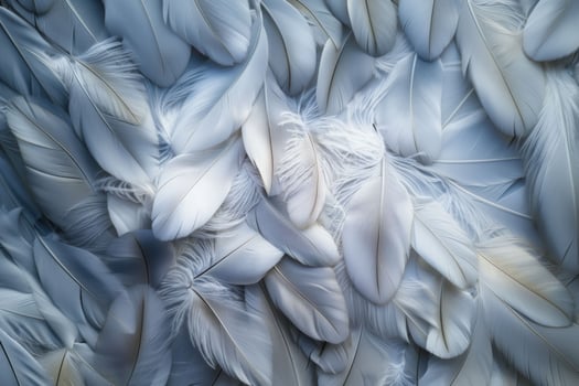 A delicate feathers texture background featuring soft, intricate patterns photo