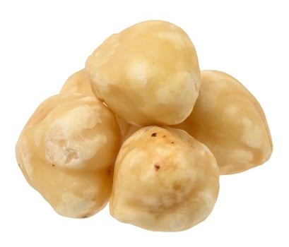 Stack of peeled hazelnuts on isolated background photo