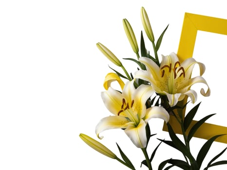 Bunch of fresh yellow flowers photo