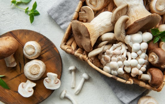 Assortment of various mushrooms photo
