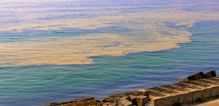 Nodularia spumigena, ecological disaster, a toxic blue-green algae bloom in the Black Sea photo