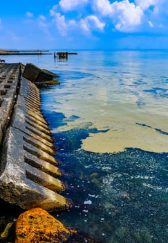 Nodularia spumigena, ecological disaster, a toxic blue-green algae bloom in the Black Sea photo