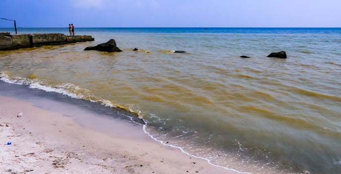 Nodularia spumigena, ecological disaster, a toxic blue-green algae bloom in the Black Sea photo