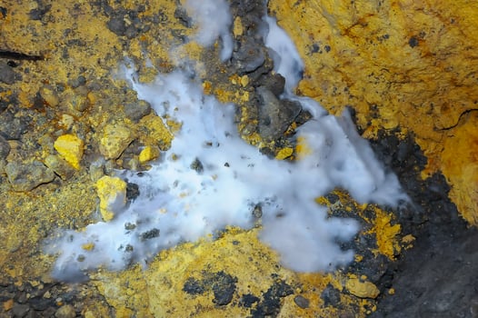 Overgrown colonies of mold fungi Ascomycetes on rotten organic matter in the Odessa catacombs photo