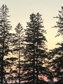 Colors of the dusk photo