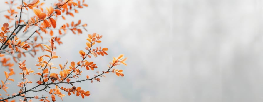Vibrant Autumn Leaves on Bare Branch Against Soft Background photo