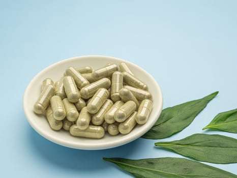 Andrographis paniculata capsules are in a white dish and green leaves are isolated on a blue background. Space for text. Herbal, medicine, and healthcare concept photo