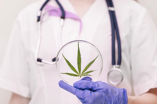 A medic professional with a stethoscope in a lab coat and blue gloves holds round laboratory glasses with a cannabis leaf. Hemp medicinal properties concept. photo