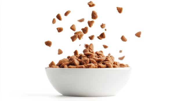 Brown kibble pieces falling from above into a white bowl on a plain background during daylight photo