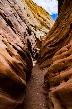 Eroded by water and wind cliffs in the canyon. Little Wild Horse Canyon. San Rafael Swell, Utah photo
