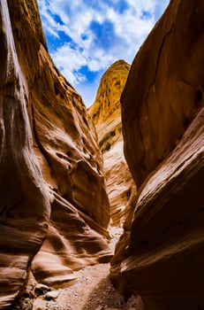 Eroded by water and wind cliffs in the canyon. Little Wild Horse Canyon. San Rafael Swell, Utah photo
