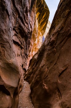 Eroded by water and wind cliffs in the canyon. Little Wild Horse Canyon. San Rafael Swell, Utah photo