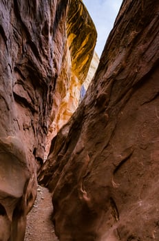 Eroded by water and wind cliffs in the canyon. Little Wild Horse Canyon. San Rafael Swell, Utah photo
