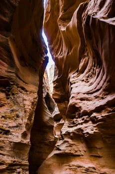 Eroded by water and wind cliffs in the canyon. Little Wild Horse Canyon. San Rafael Swell, Utah photo