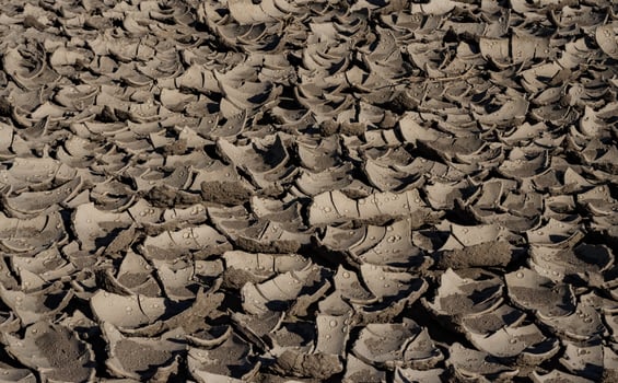A pattern on dried silt. Dry land in the desert, Utah US photo