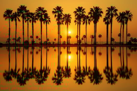 A breathtaking sunset uniquely reflected and mirrored in the tranquil waters, beautifully adorned with tall palm trees photo