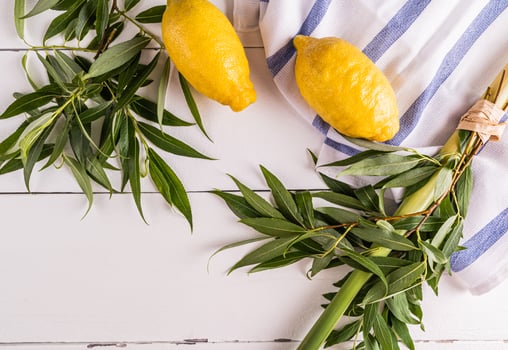 A beautiful festive background of the Jewish holiday of Sukkot. Traditional symbols of the holiday on a white wooden background. top view photo