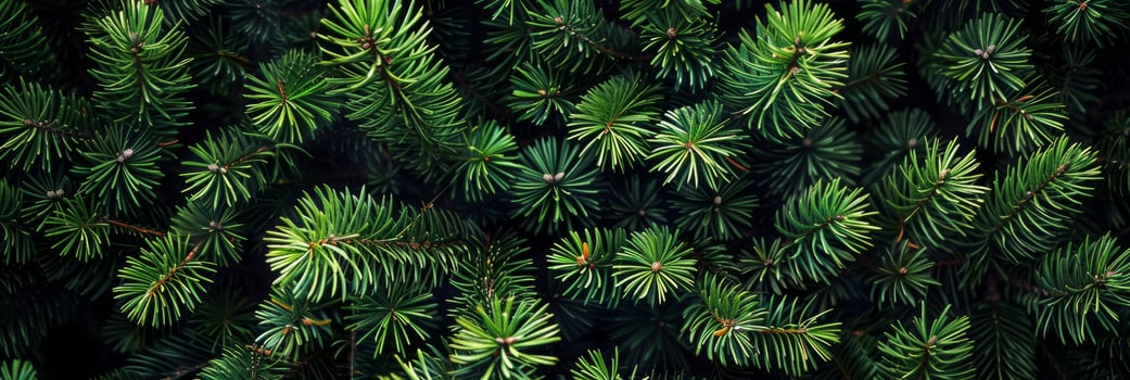 A highly detailed closeup view of the vibrant green pine branches, showcasing their unique, intricate textures and rich colors in a lush forest setting teeming with life and beauty photo
