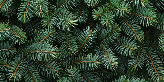 A beautifully detailed closeup of lush green pine branches that highlight the intricate needle patterns and rich textures found within nature, offering a glimpse into its microscopic beauty photo