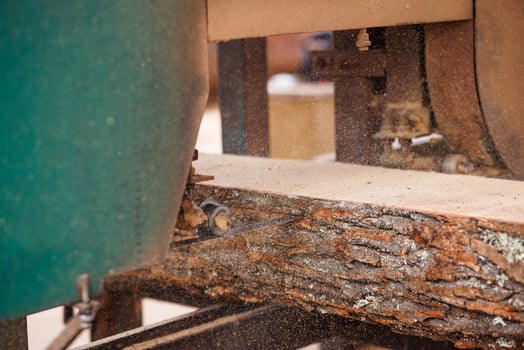 Close-up of sawing logs with a band saw at a sawmill photo