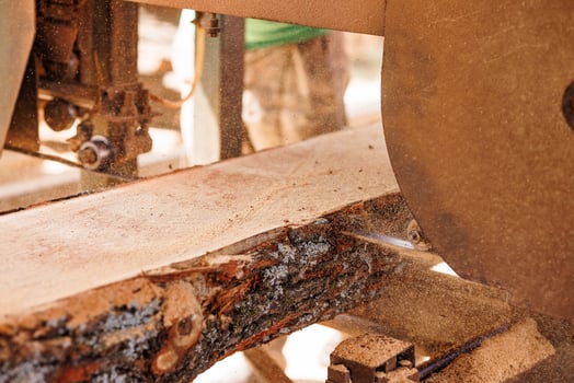 Close-up of sawing logs with a band saw at a sawmill photo