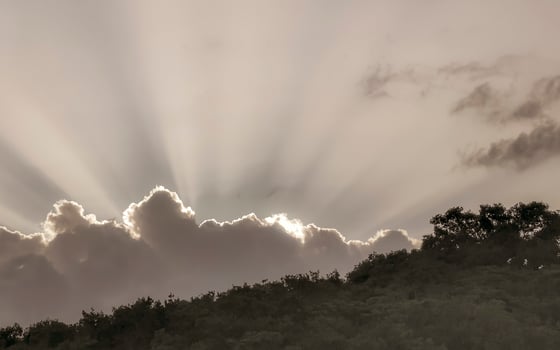Amazing sunbeams sun rays sunset sunrise tropical Caribbean jungle Mexico. photo
