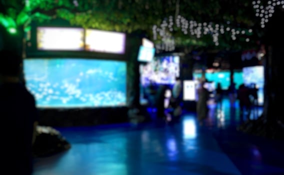 Blur and defocused effect on zoo aquarium tanks travel destination isolated on horizontal dark indoor environment background. photo