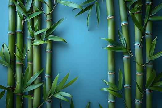 Green Bamboo Stems and Leaves on Blue Background - Nature, Asian Decor, Zen, Design for Print, Poster photo