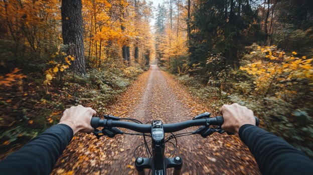 Riding a bicycle. First person perspective of hands holding bike handlebars, autumn trail, PoV image photo