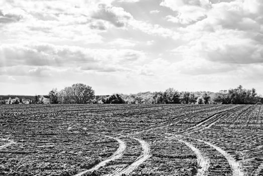 Photography on theme big empty farm field for organic harvest photo