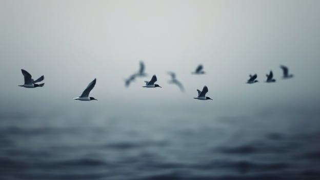Birds Flying Over Calm Water at Dusk Near Rocky Outcrop photo