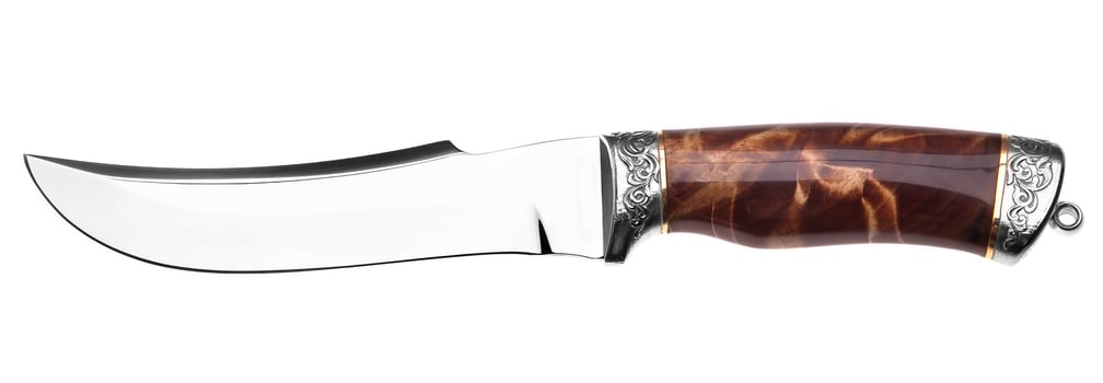 Hunting knife isolated on white photo