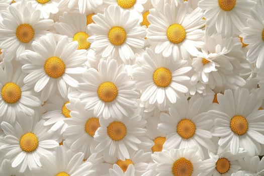 A charming display of daisies creates a fresh, sunny background. photo