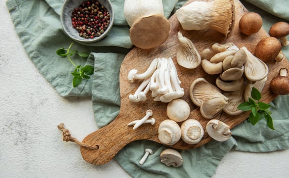 Assortment of various mushrooms photo