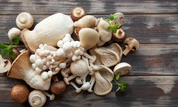 Assortment of various mushrooms photo