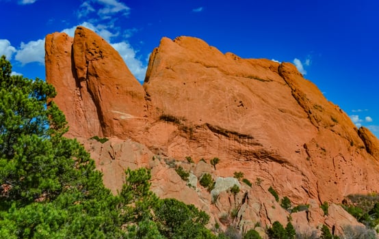 Eroded red-sandstone formations. Garden of the Gods, Colorado Springs, Colorado photo