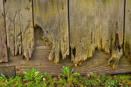Wooden background, vintage rotten planks that survived on an old 18th century barn, Ohio USA photo