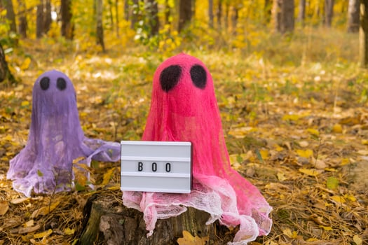 Lightbox BOO text Creative handmade Halloween holiday decoration. Colorful ghost in autumn leaves forest. Zero waste homemade decor. Mystic place supernatural photo