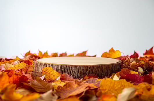 Wooden podium, autumn theme photo