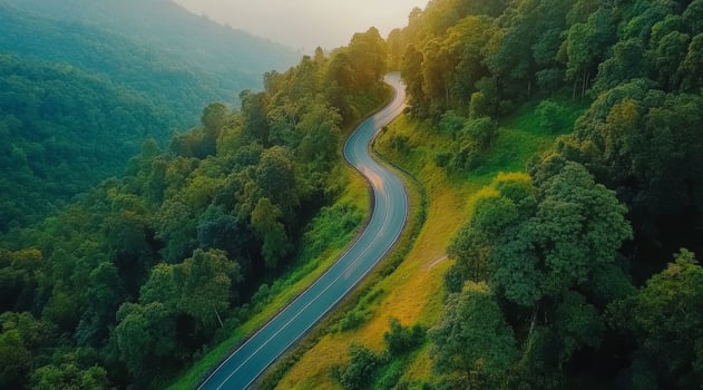This aerial view shows a winding road through a vibrant forest, highlighting natures beauty and the joys of traveling and discovering new places, reminding us of the peace in exploration photo