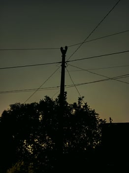 photo of electricity network poles in the countryside in the late afternoon