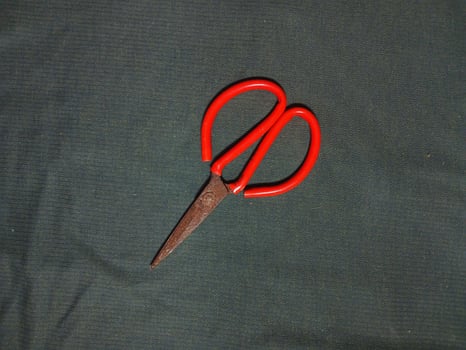 Scissors on a white background. photo