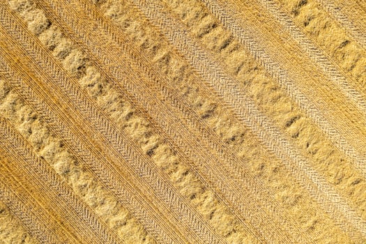 drone aerial top view of a recently harvested wheat field, agricultural concept photo