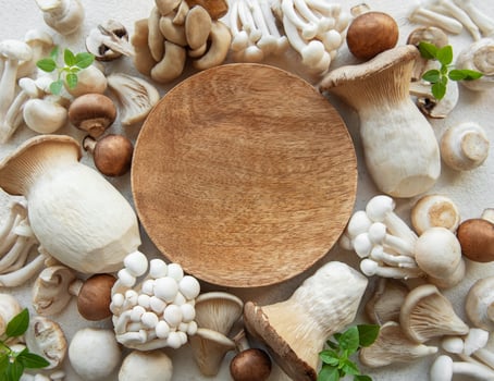 Assortment of various raw mushrooms photo