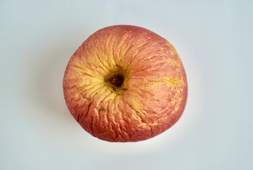 One dry and wrinkled rotten fuji apple fruit from above top angle. Object photography isolated on horizontal white background. photo