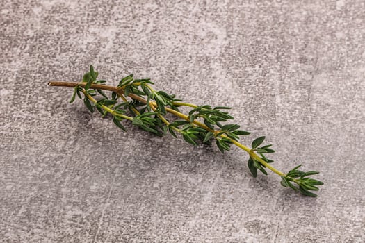 Aroma seasoning thyme stem with leaves photo