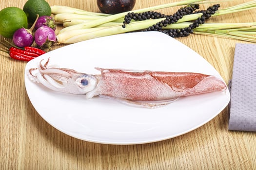 Raw fresh squid for cooking photo
