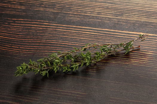 Thyme - aromatic seasoning herbal plant photo