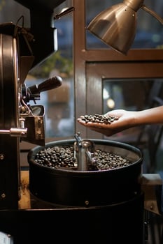 Close up of hand holding coffee beans after being roasted photo